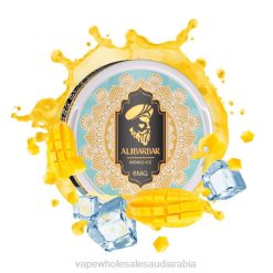 السجائر الالكترونية في المطار | 66TX68 جليد المانجو ALIBARBAR كيس النيكوتين