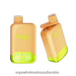 السيجارة الإلكترونية الجديدة - Vapsolo TWINS vape القابل للتصرف ليمون و ثلج بطيخ 2NJNV0123