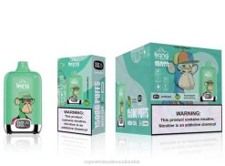 السيجارة الإلكترونية للبيع | 66TX135 التفاح الحامض التوت Bang Box 15000