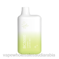 السيجارة الإلكترونية والجنس | 66TX302 ليمون نعناع ELFBAR BC5000