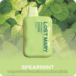 السيجارة الالكترونية | 66TX506 النعناع LOST MARY OS5000 0 ملغ/مل