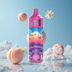 JNR Alien 10000 Puffs بخاخ خوخ مثلج بسعة 20مل و شاحن Type-C