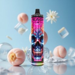 JNR Calavera 11000 Puffs خوخ مثلج مع شاحن Type-C وسعة 21مل