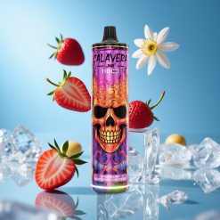 JNR Calavera 11000 Puffs مبخر قابل للتصرف فراولة توت أحمر كرز جليد مع منفذ شحن Type-C