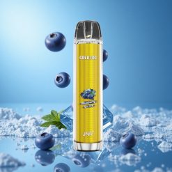 JNR Gold380 6000 Puffs سحبة توت أزرق مثلج بسعة 13مل