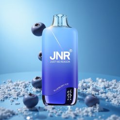JNR Rainbow 10500 نَفخة سيجارة إلكترونية قابلة للتصريف توت أزرق مثلج مع شحن USB Type-C