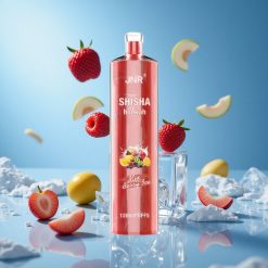 JNR Shisha Hookah 12000 Puffs سيجارة إلكترونية بنكهة التوت الثلجي بسعة 24 مل وبطارية 750 مللي أمبير