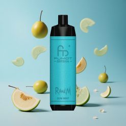 RandM Fumot Shisha 10000 Puffs سحبة نعناع علكة مع مؤشر LED وبطارية 850 مللي أمبير