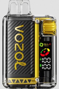 vape بالجملة | 66TX10 جليد المانجو VOZOL VISTA 16000/20000 5%