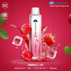 vape بالجملة | 66TX180 الجليد فيمبول Hayati Pro Max 4000