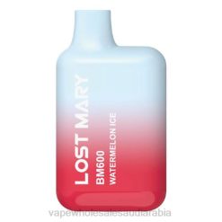 vape بالجملة | 66TX380 ثلج البطيخ LOST MARY BM600